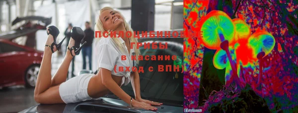 apvp Армянск