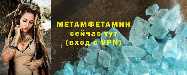 гидра Аркадак