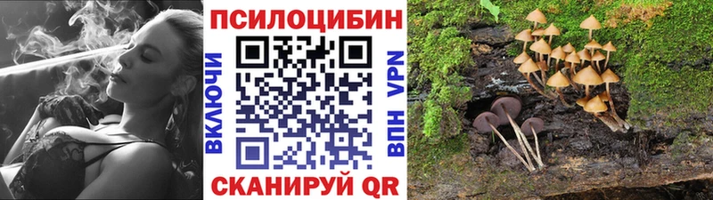 Галлюциногенные грибы Cubensis  Бронницы 